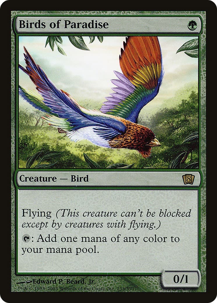 Birds of Paradise - Image 1