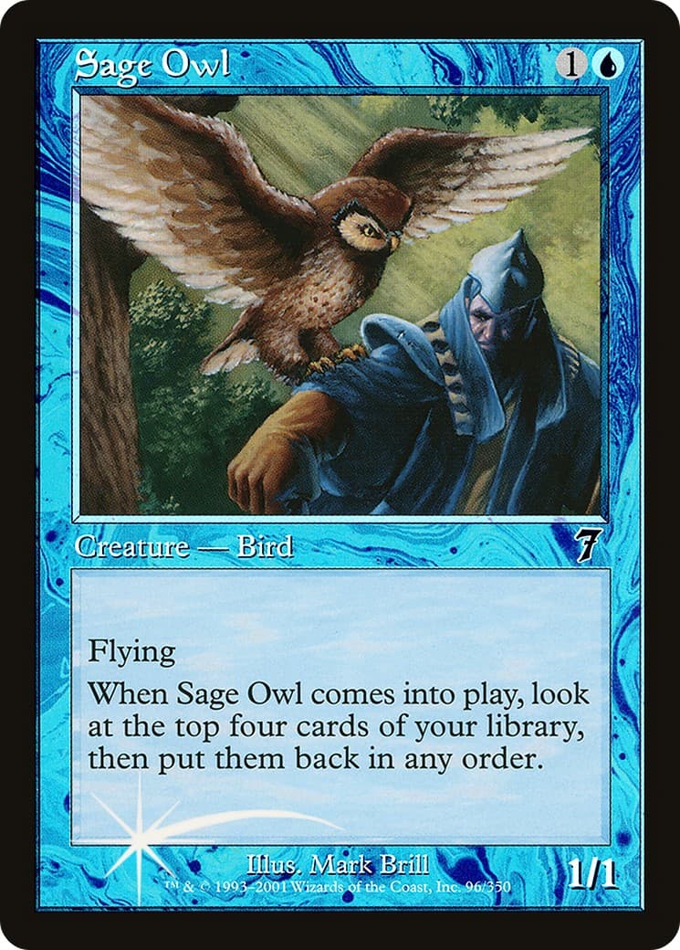 Sage Owl - Image 1