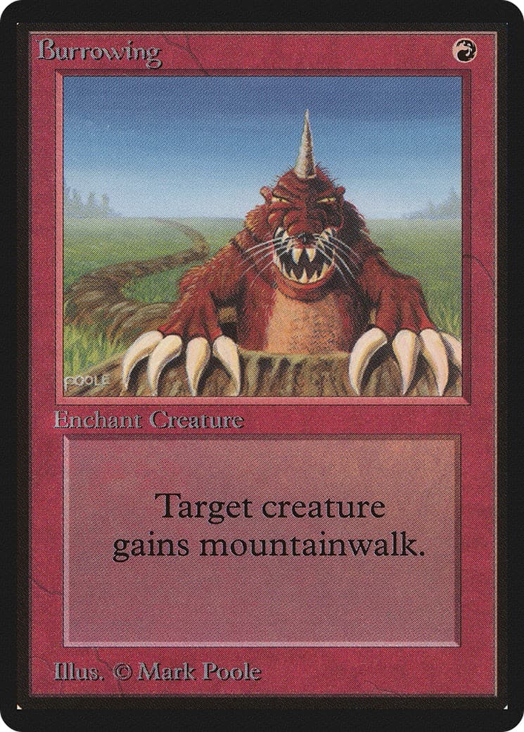 Burrowing - Image 1