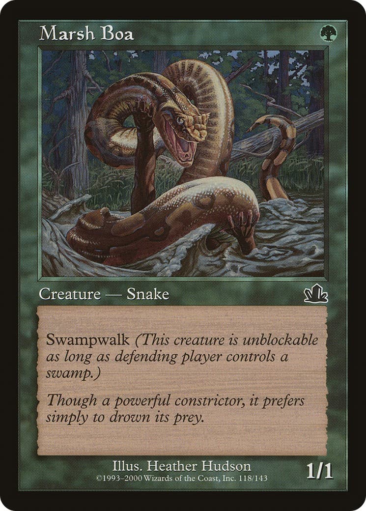 Marsh Boa - Image 1