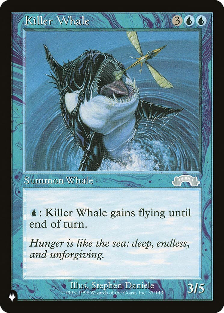 Killer Whale - Image 1