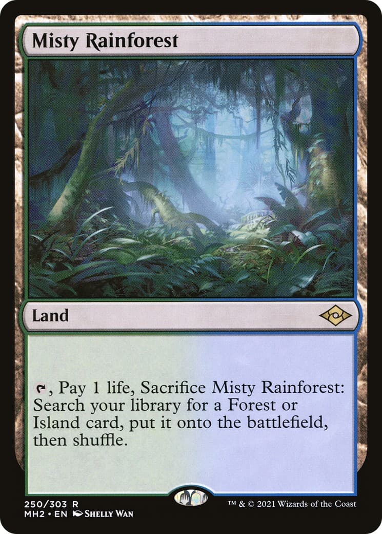 Misty Rainforest - Image 1