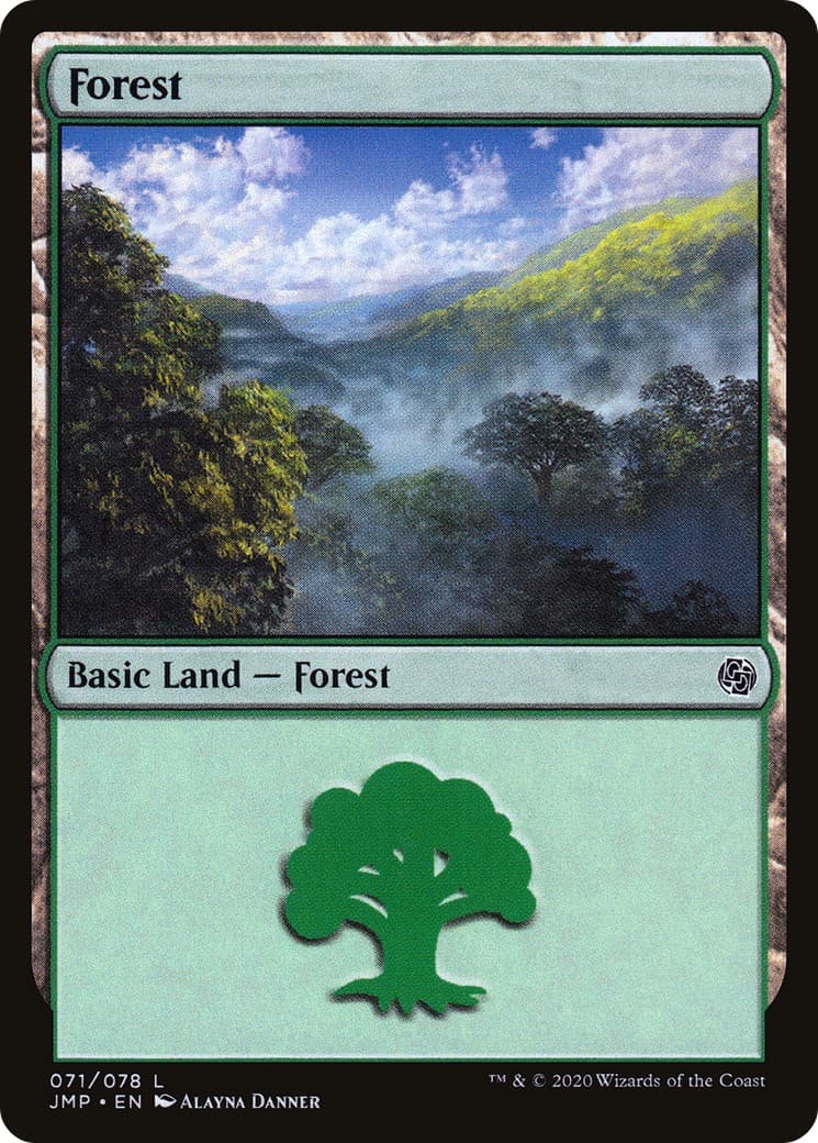 Forest - Image 1