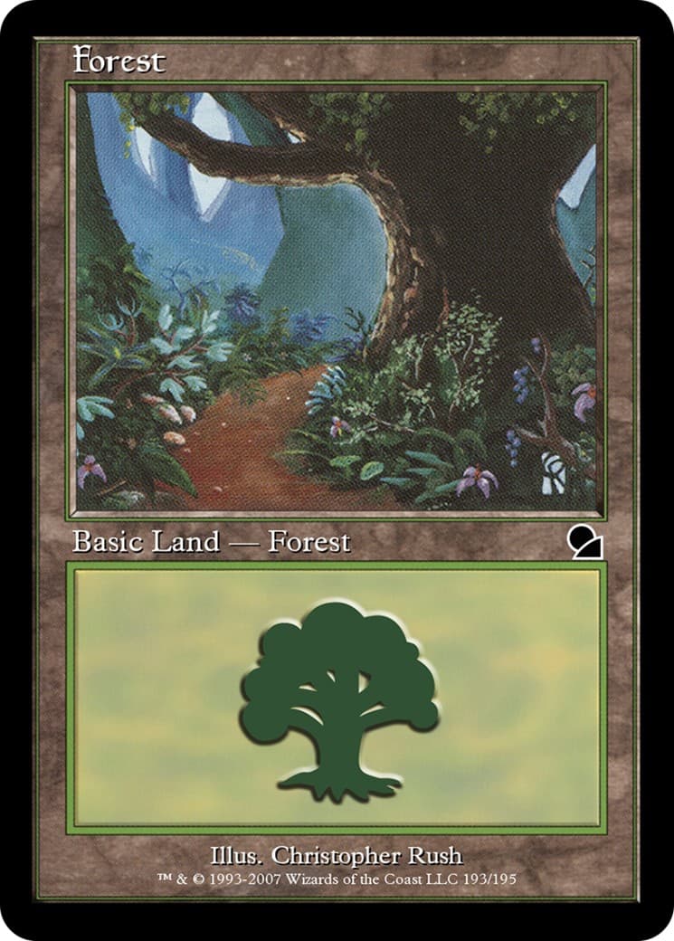 Forest - Image 1