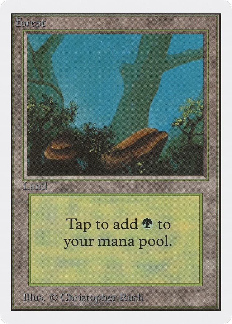 Forest - Image 1