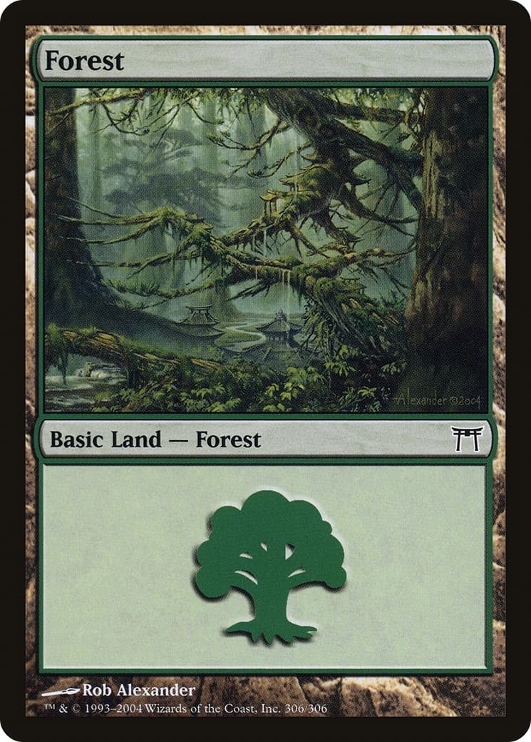Forest - Image 1