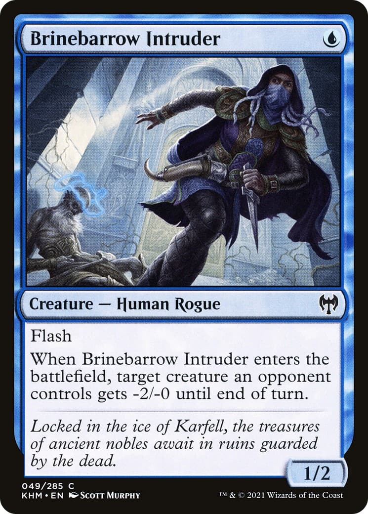 Brinebarrow Intruder - Image 1