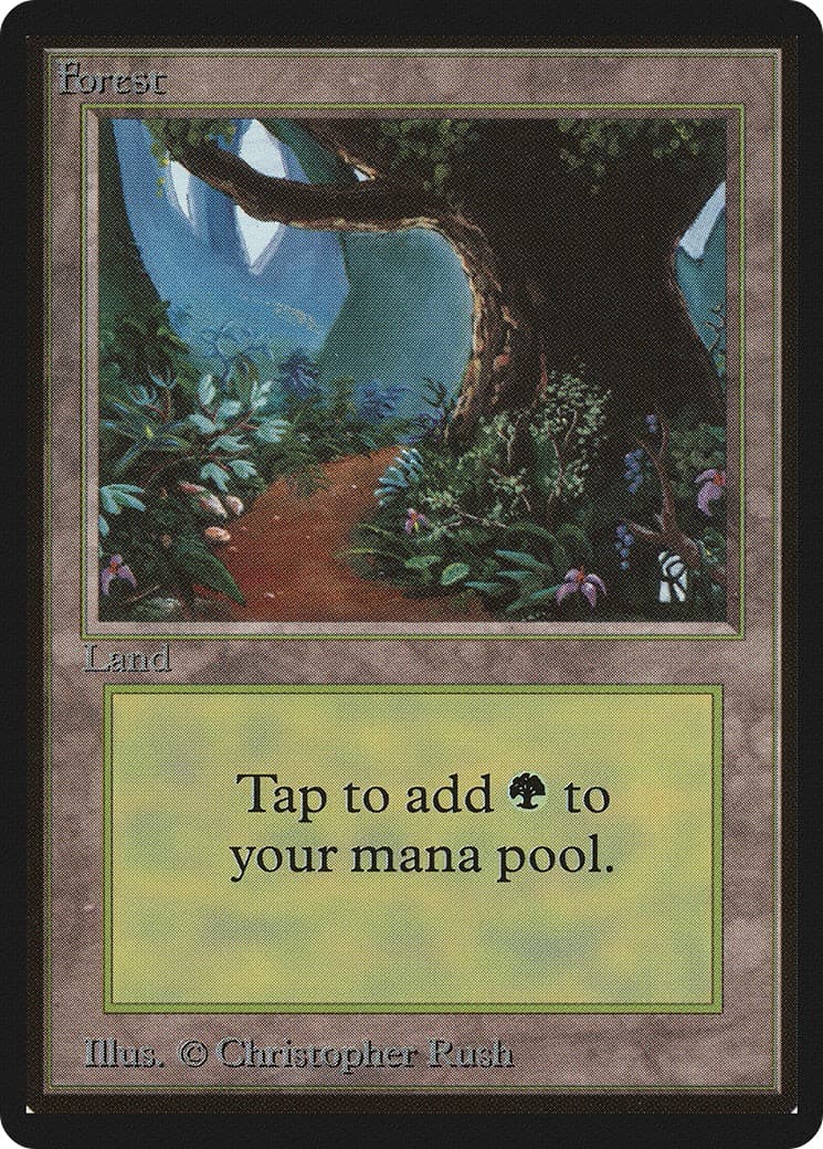 Forest - Image 1