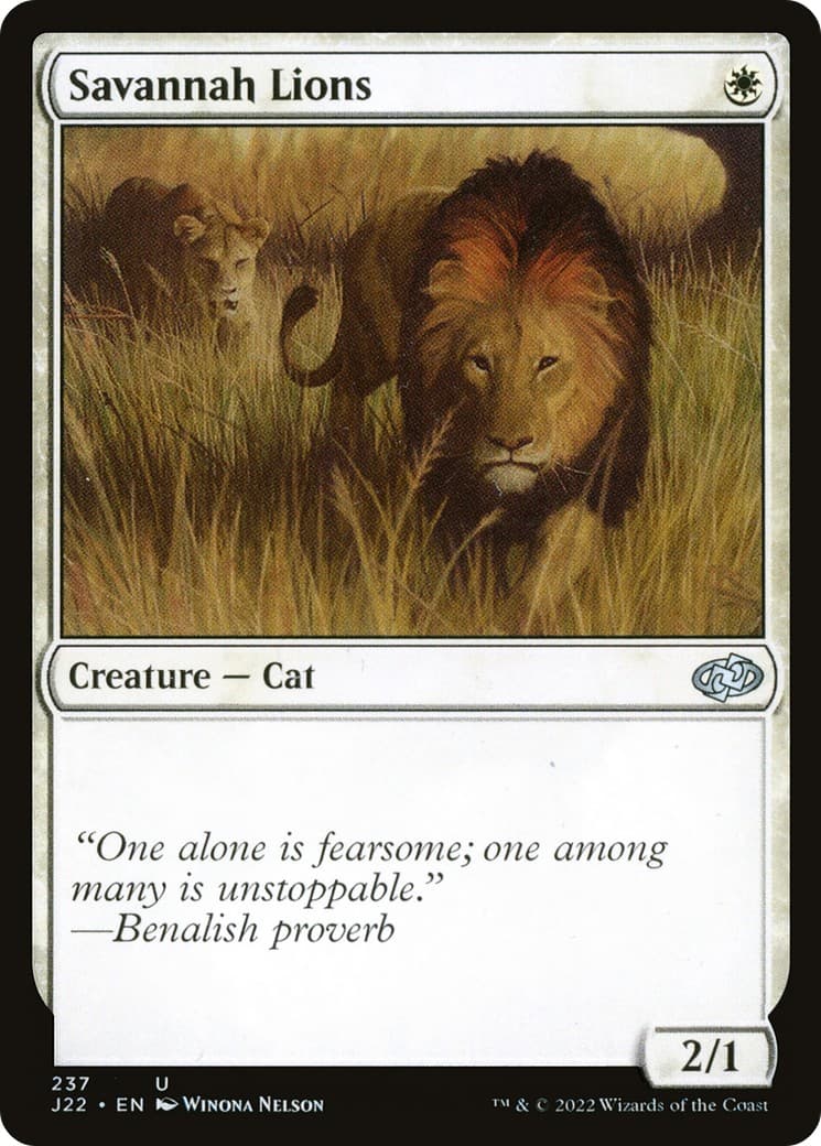 Savannah Lions - Image 1