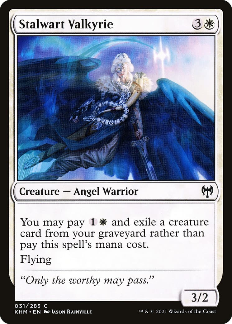 Stalwart Valkyrie - Image 1