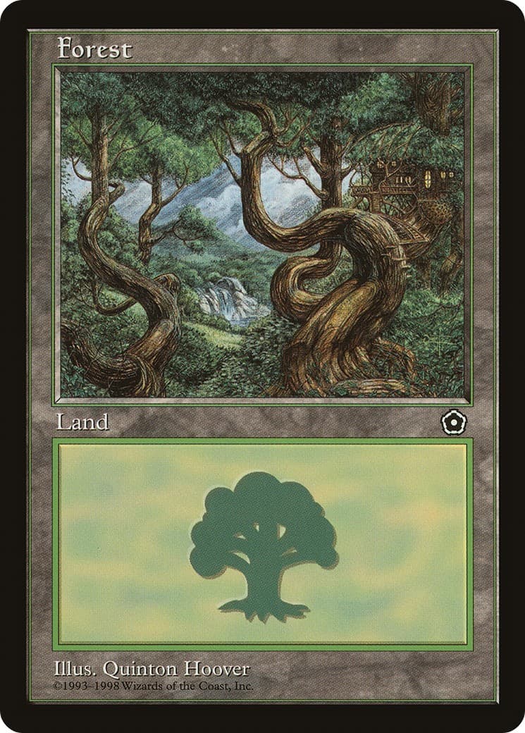 Forest - Image 1