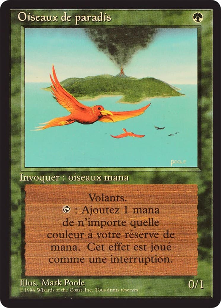 Birds of Paradise - Image 1