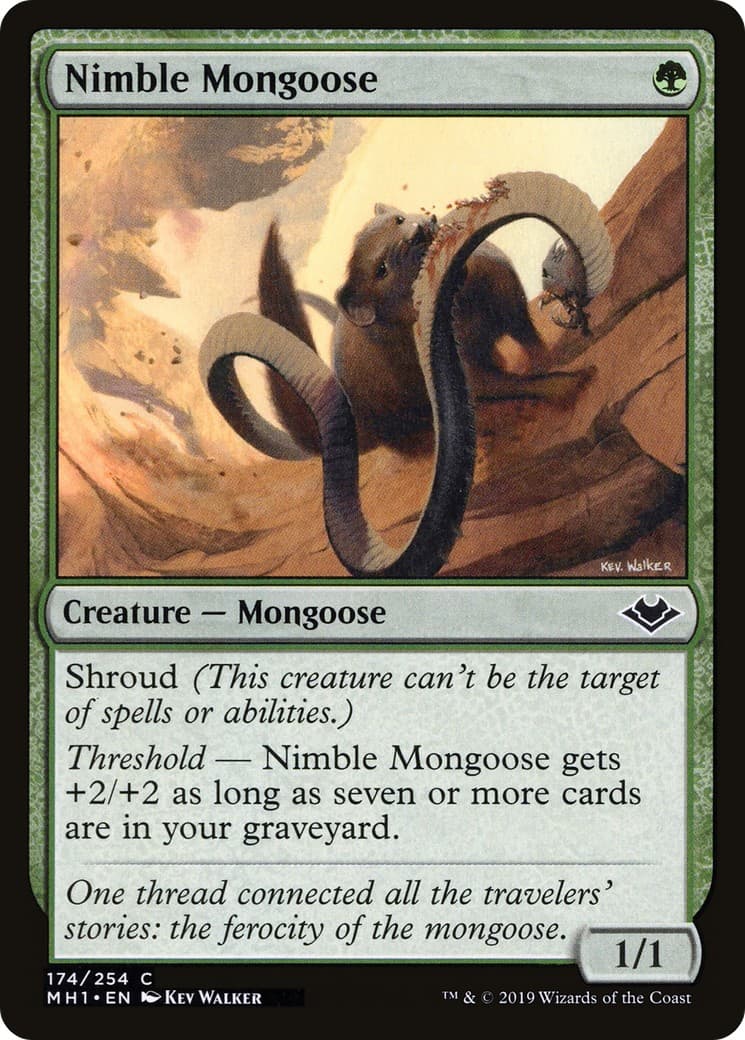 Nimble Mongoose - Image 1