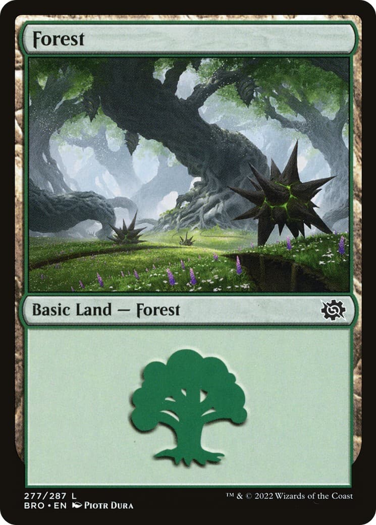 Forest - Image 1