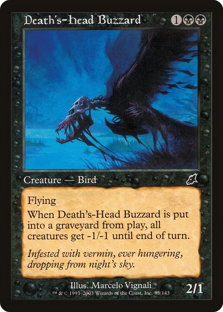 Death's-Head Buzzard - Image 1
