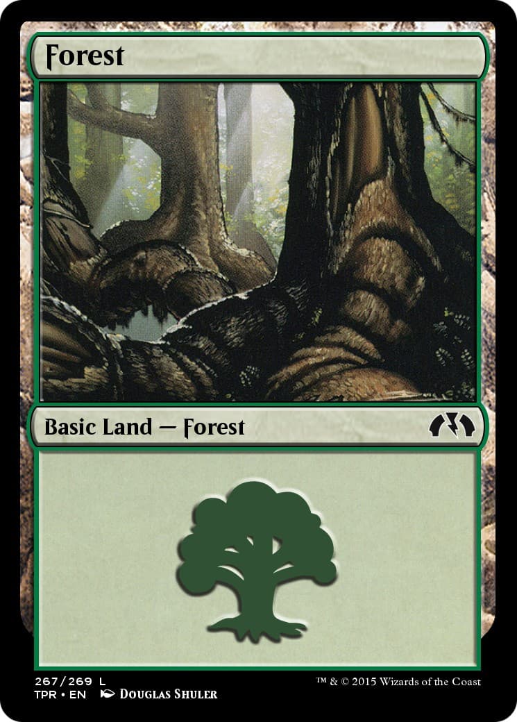 Forest - Image 1
