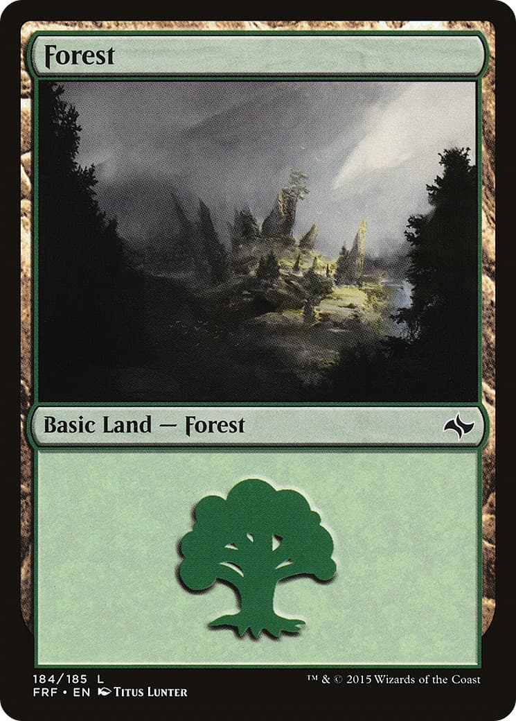 Forest - Image 1