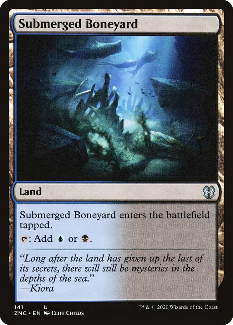 Submerged Boneyard - Image 1