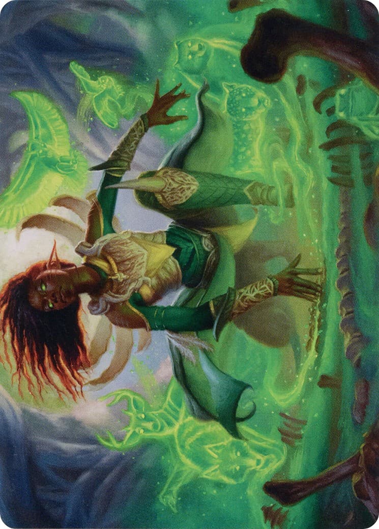 Fauna Shaman // Fauna Shaman - Image 1