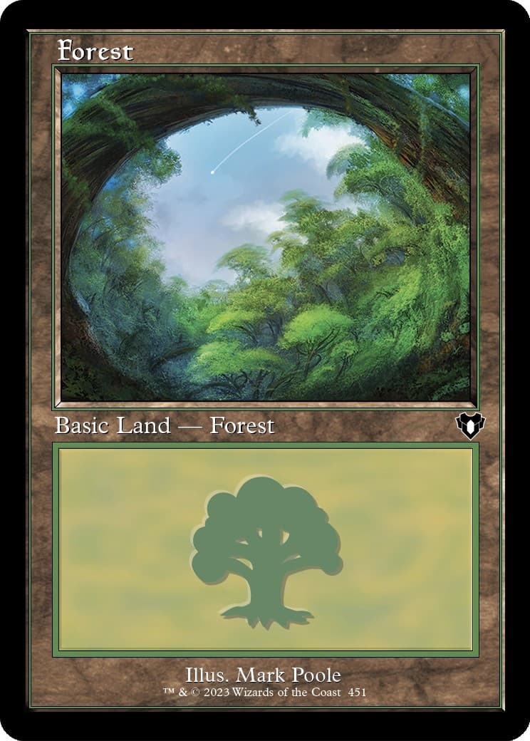 Forest - Image 1
