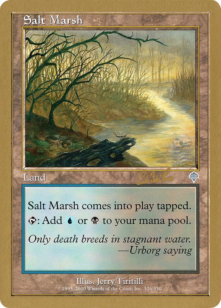 Salt Marsh - Image 1