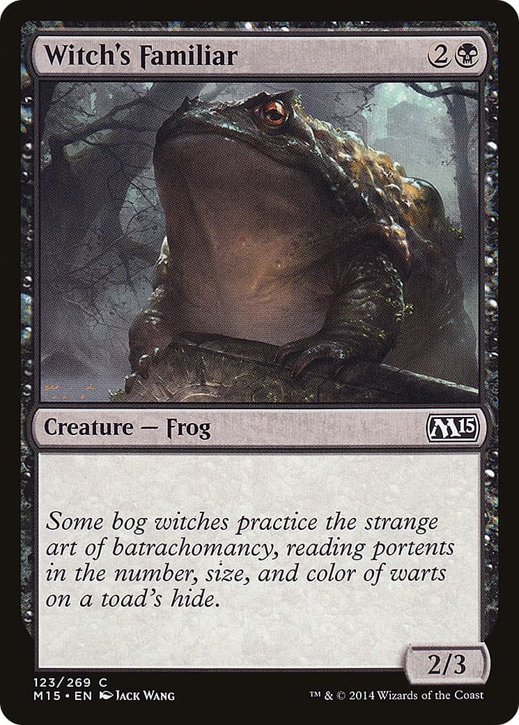 Witch's Familiar - Image 1
