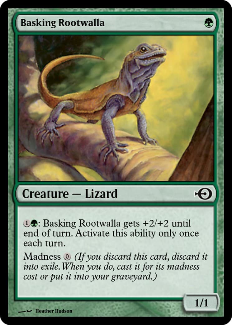 Basking Rootwalla - Image 1