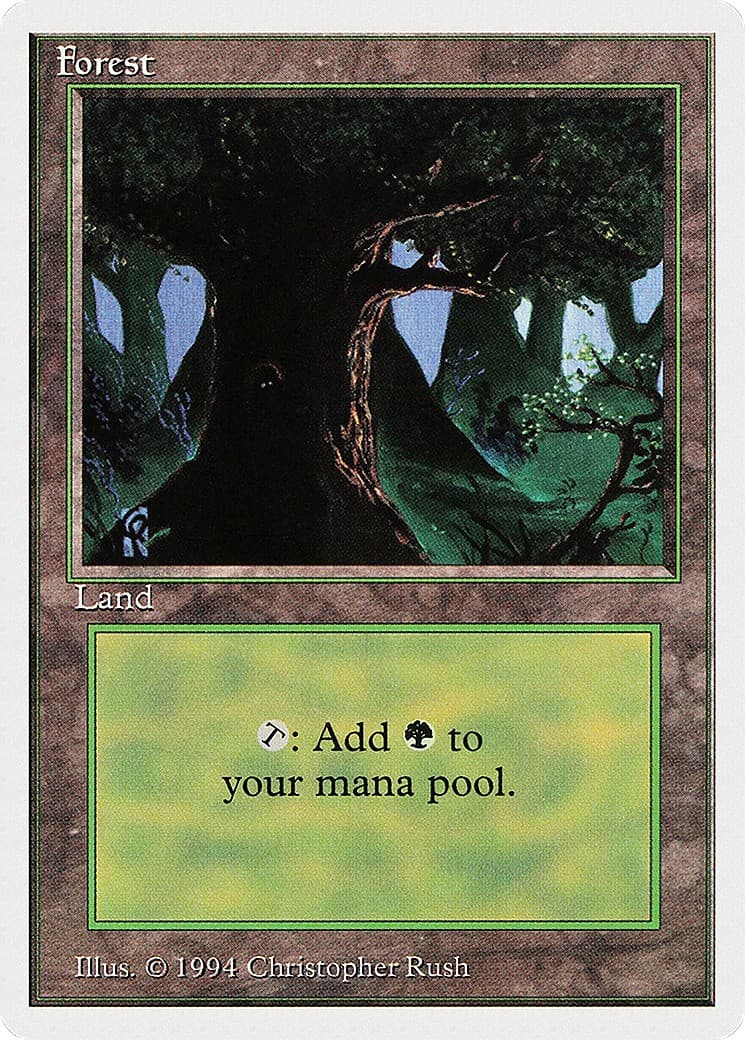 Forest - Image 1