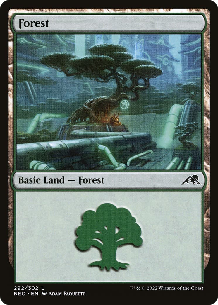 Forest - Image 1