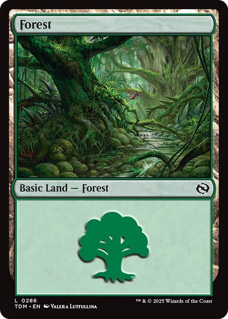 Forest - Image 1