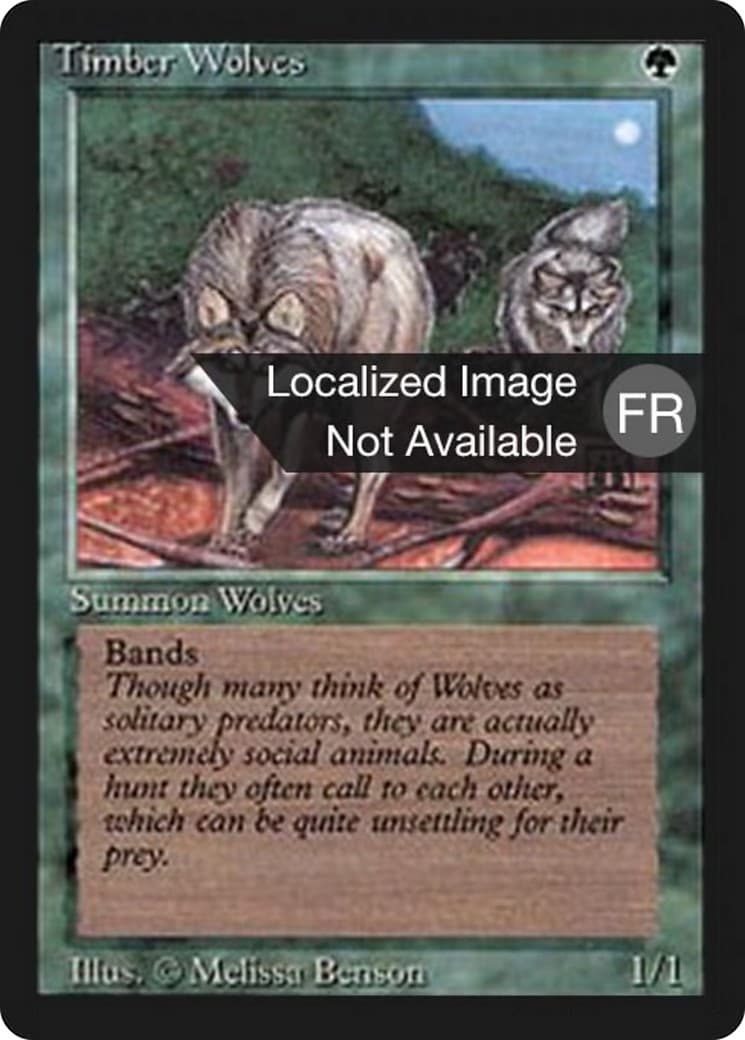 Timber Wolves - Image 1