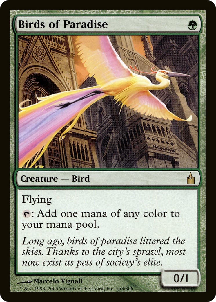 Birds of Paradise - Image 1