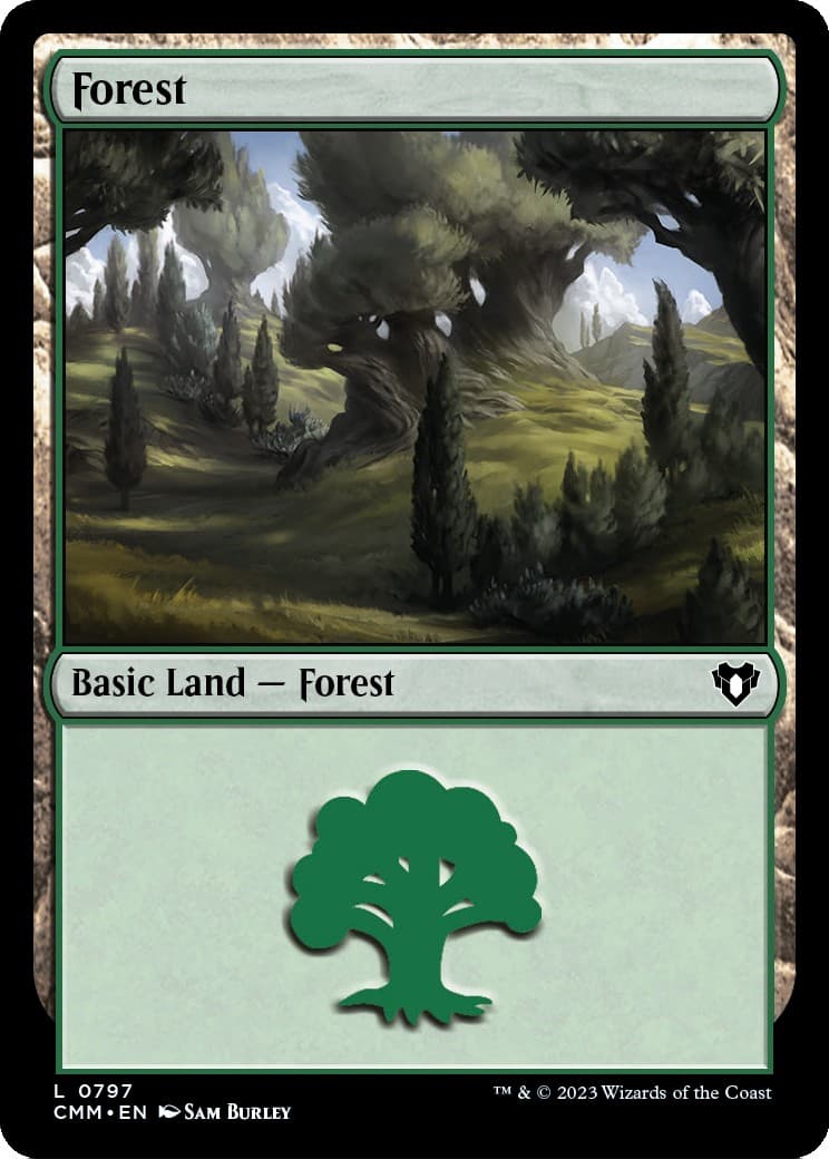 Forest - Image 1