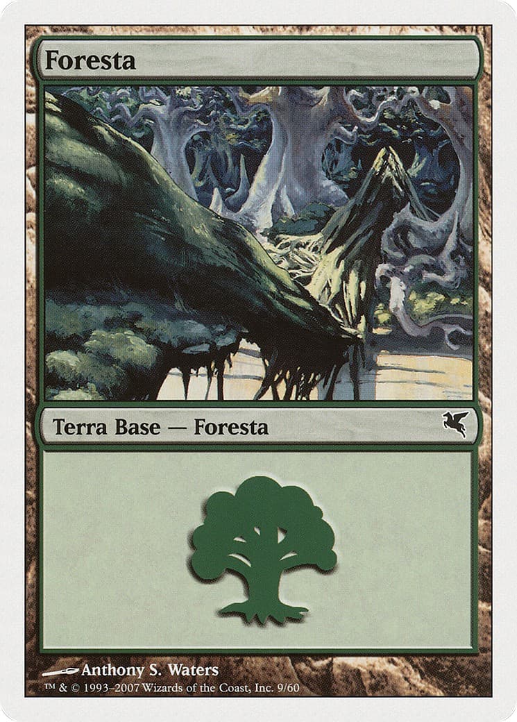 Forest - Image 1