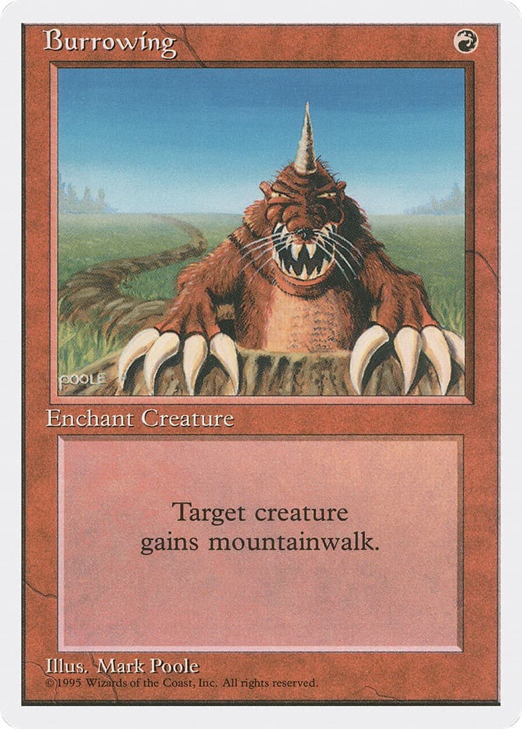 Burrowing - Image 1