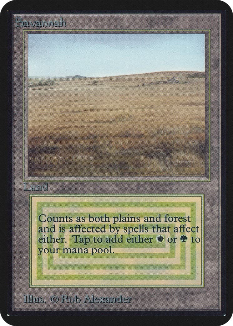Savannah - Image 1