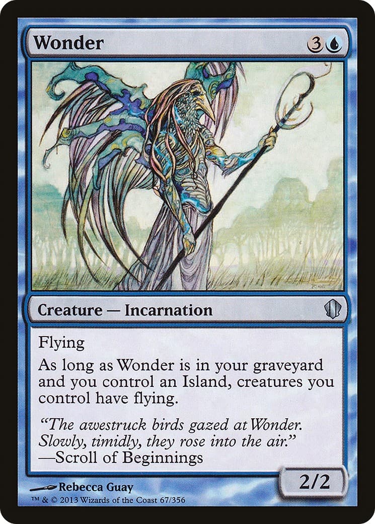 Wonder - Image 1