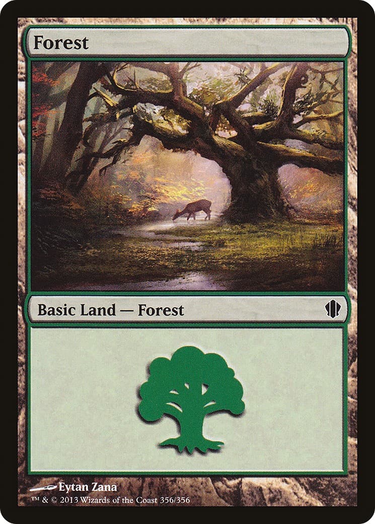 Forest - Image 1
