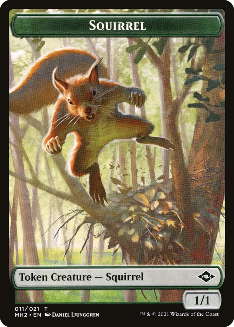 Squirrel - Image 1