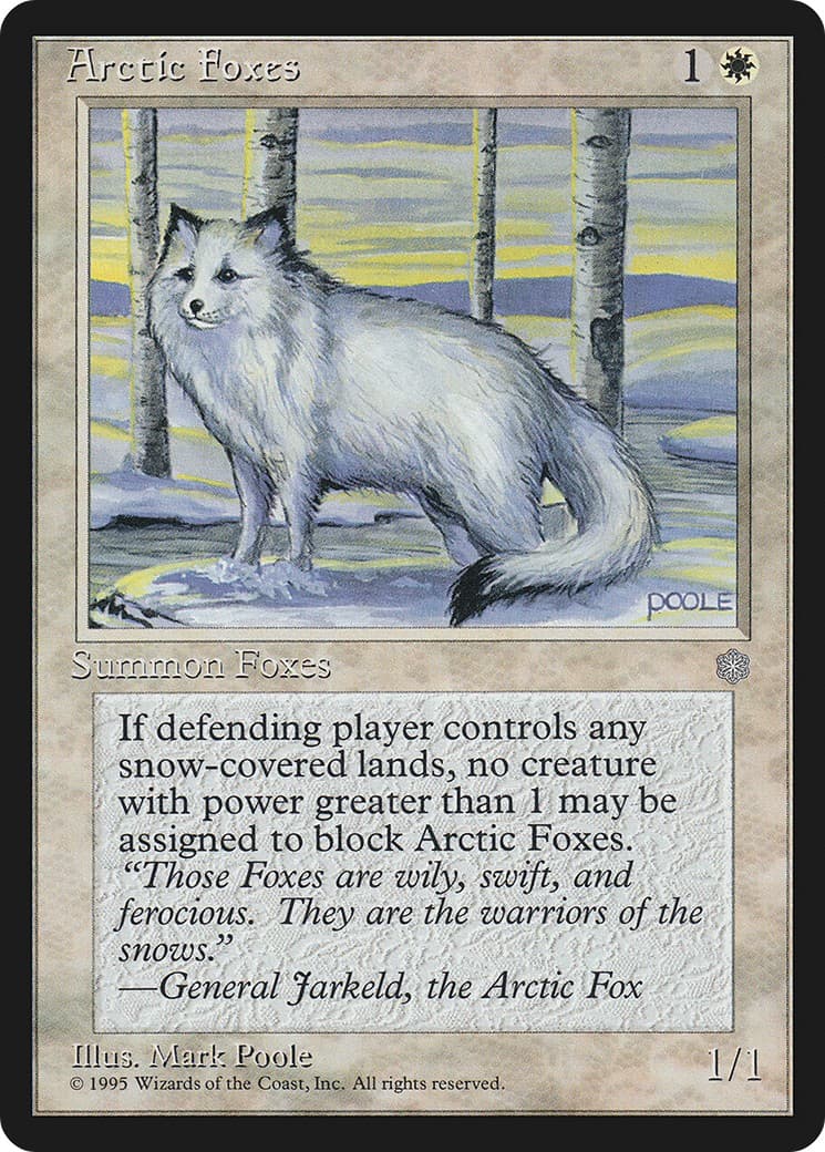 Arctic Foxes - Image 1