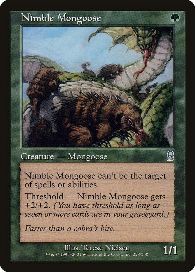 Nimble Mongoose - Image 1