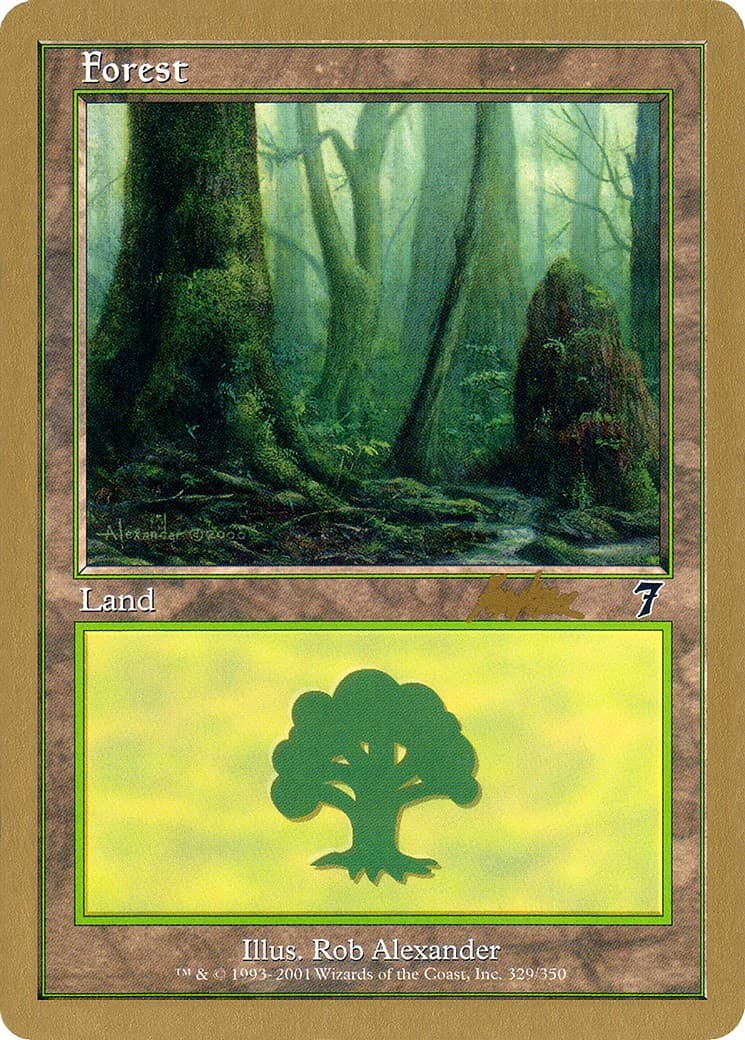 Forest - Image 1