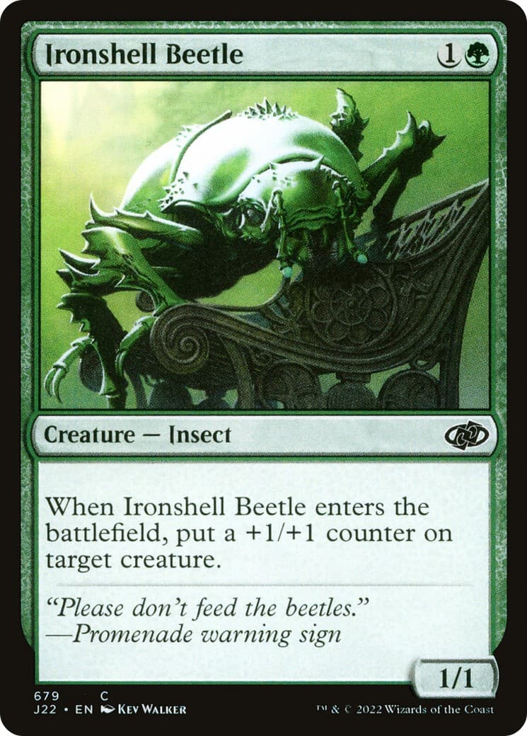 Ironshell Beetle - Image 1