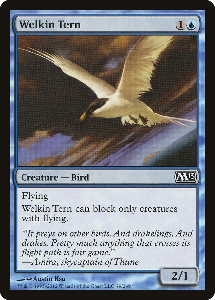 Welkin Tern - Image 1