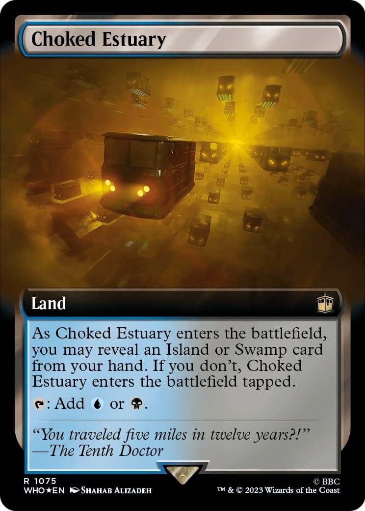Choked Estuary - Image 1