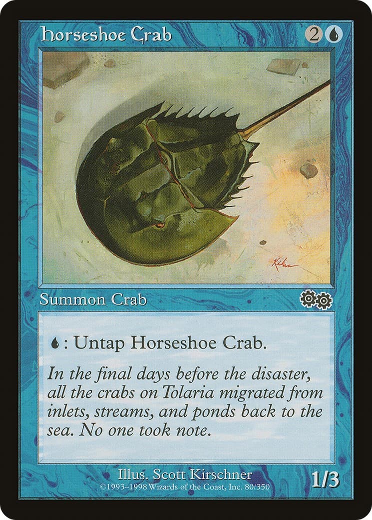 Horseshoe Crab - Image 1