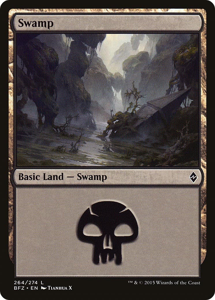 Swamp - Image 1
