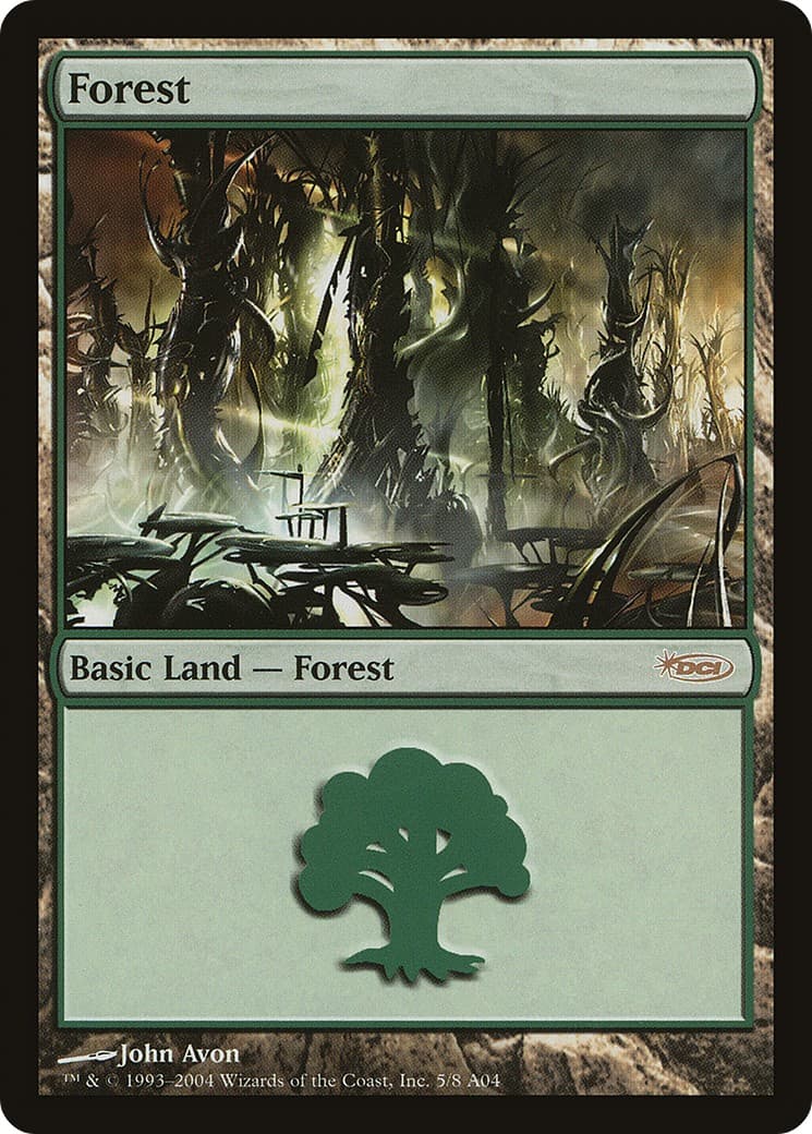Forest - Image 1