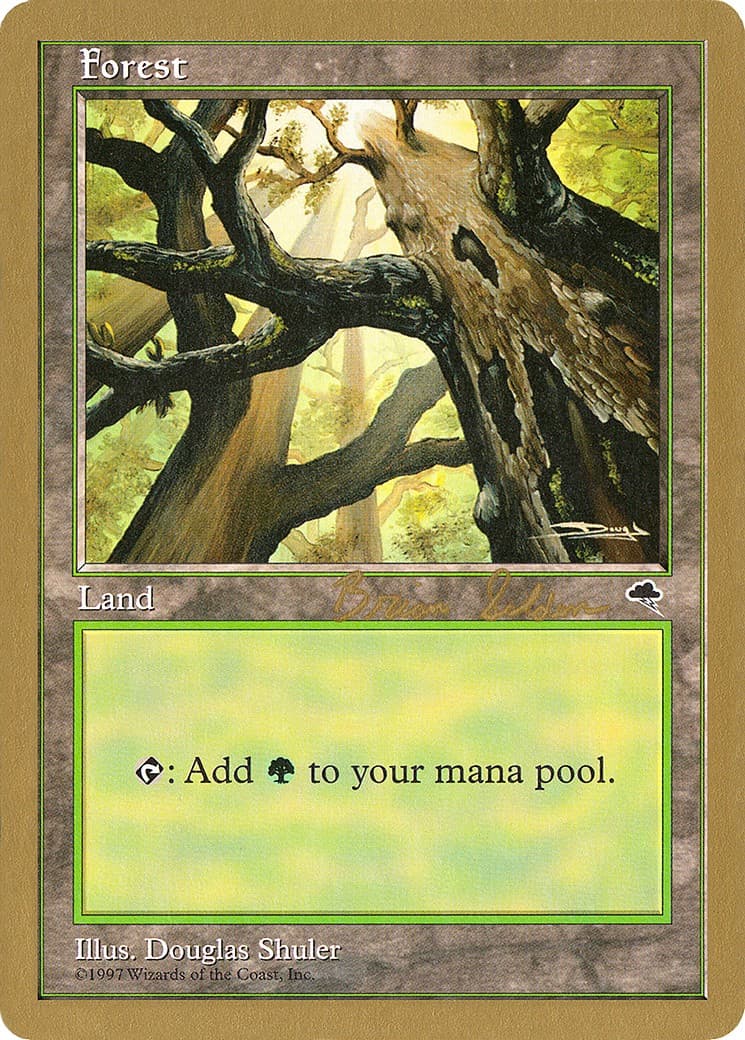Forest - Image 1