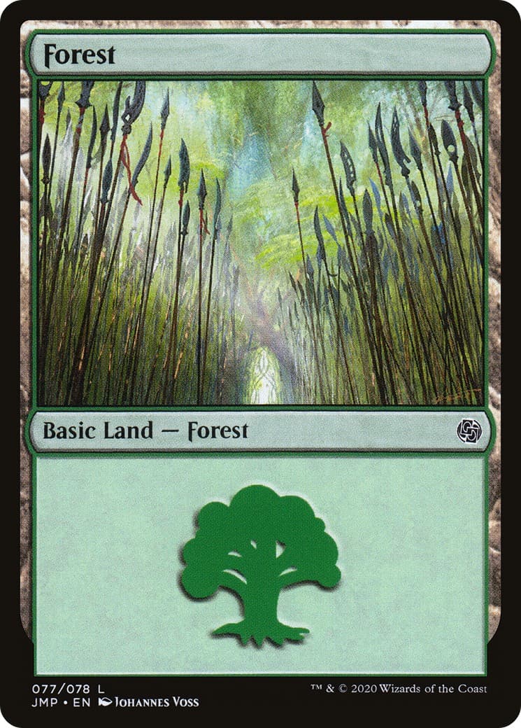 Forest - Image 1